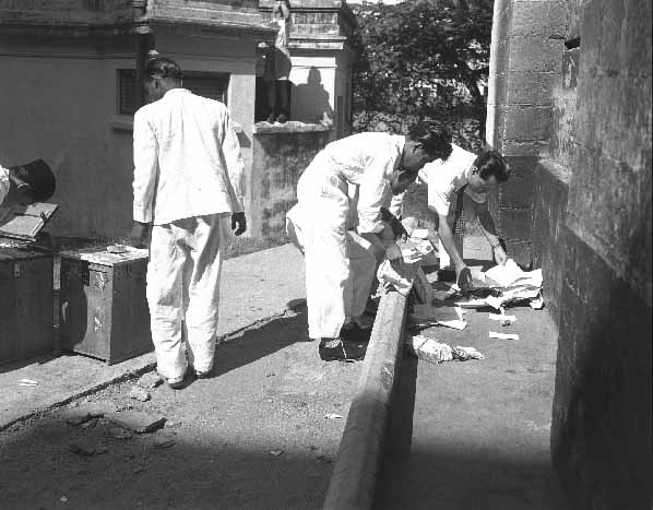 Destruction of Marked Ballot Papers (Image 99)